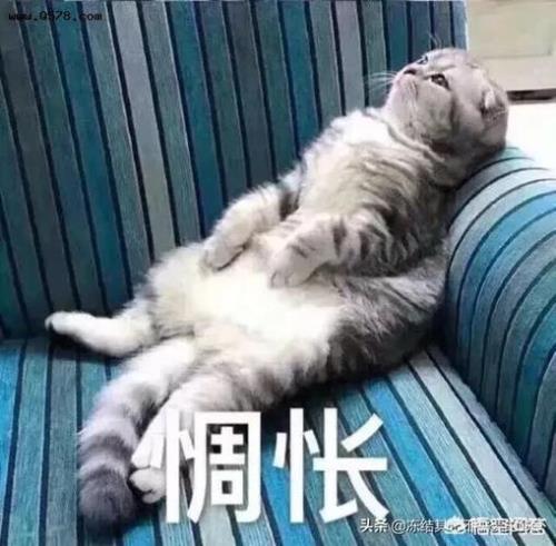 一天到晚都是想着他，该怎么办