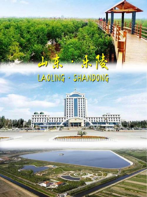 乐陵属于哪个市