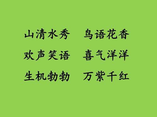玩得很欢类似的词语