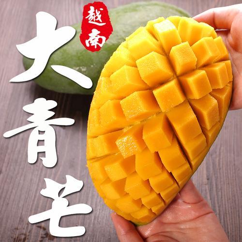 金煌芒和大青芒哪个核薄一些
