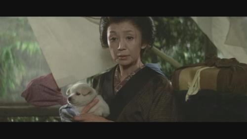伊豆舞女原著