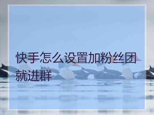 快手9级粉丝团需要多久