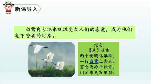 白鹭课文中有设问句吗