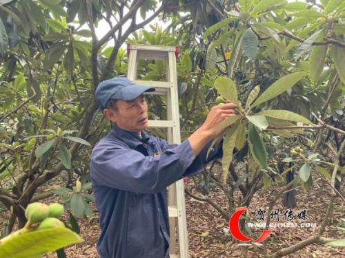 树心公园的农民证怎么拿到