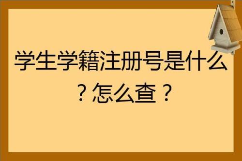 学生号是什么