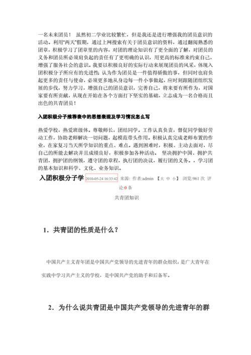 入团积极分子什么意思