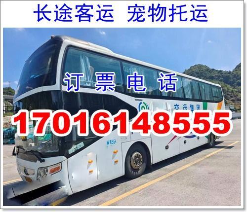 Z338停运何时恢复