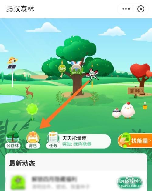 森林怎么获得背包