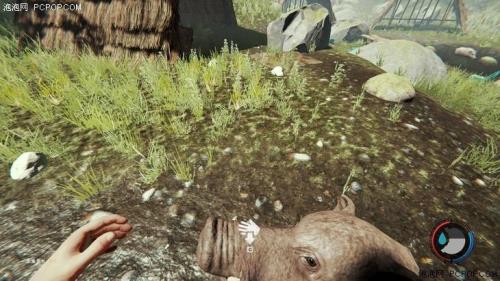 steam森林抓兔子陷阱怎么用