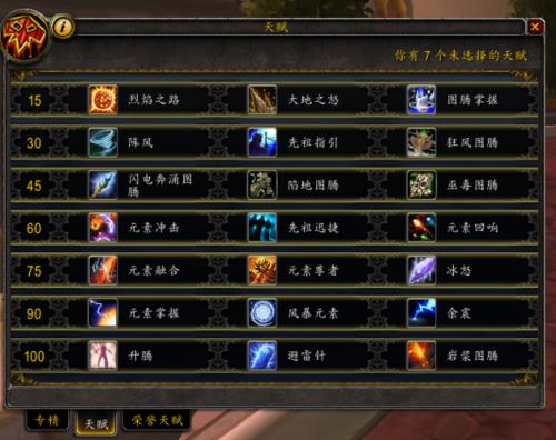 wlk元素萨满pvp配装