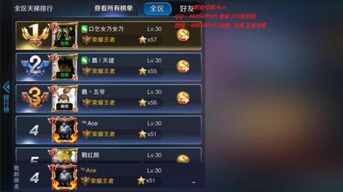 王者访客可以看什么