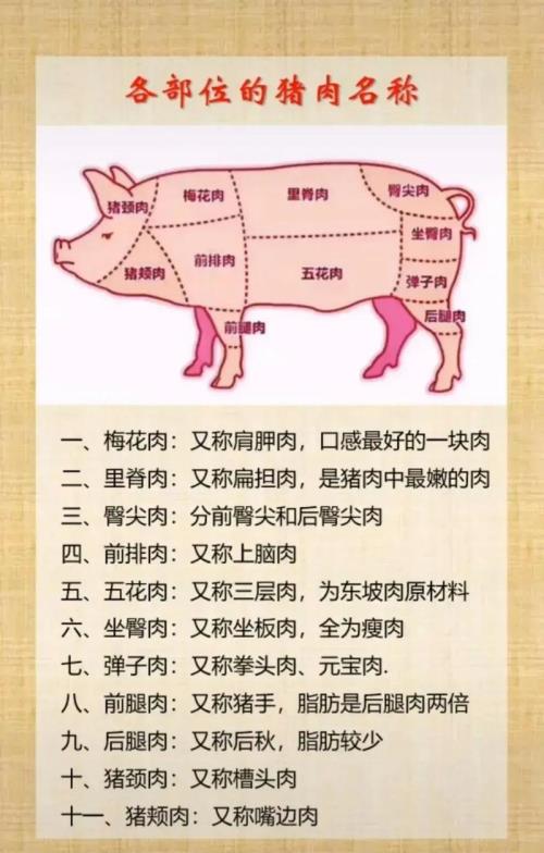 天堂是猪的哪部分