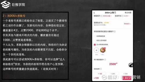 dou+投放多久出效果