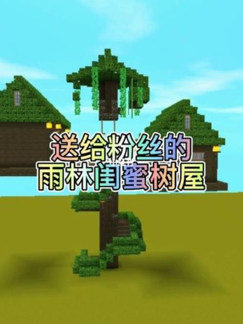 雨林大树屋第四个任务兑换什么