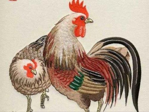 金蛇为伴月满圆是属什么动物