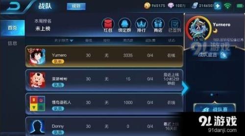 王者荣耀王者战队有什么用