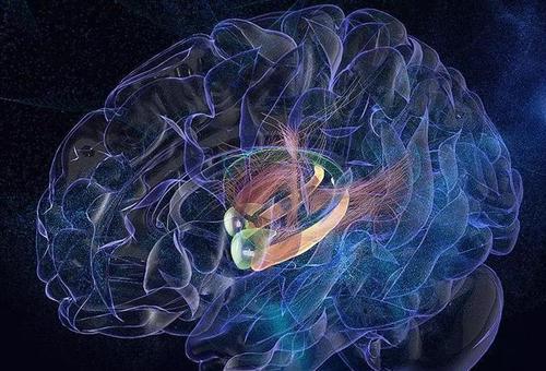 最早的科学家如何研究大脑的