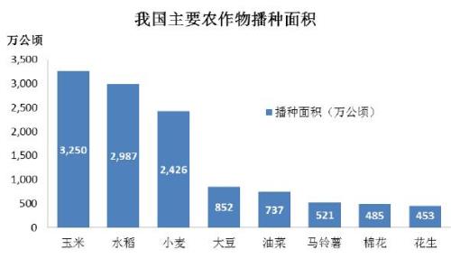 中国农业起源于什么时候（