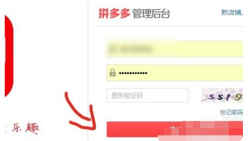 拼多多怎样搜索店铺地址