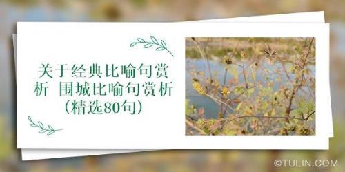 他的头发秃的比喻句