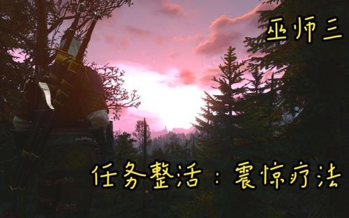 巫师3震惊疗法
