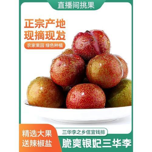 三华李升糖指数高吗