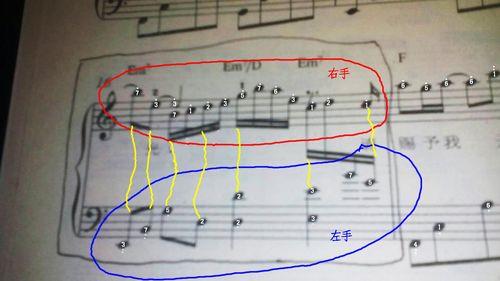 低音谱降b调在钢琴上的位置