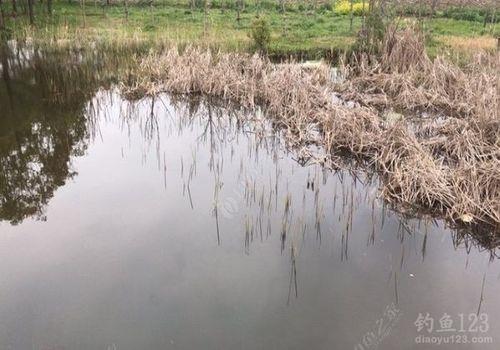 退水钓鱼正确方法