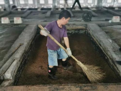 酿酒入窖下壶是什么意思