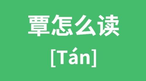 覃字的字母