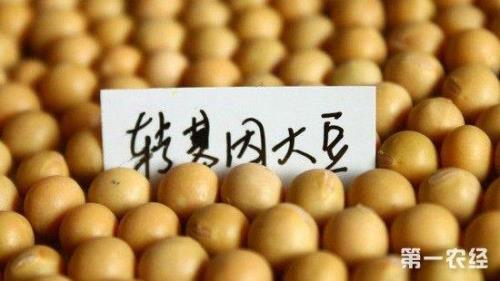 转基因技术的提出者