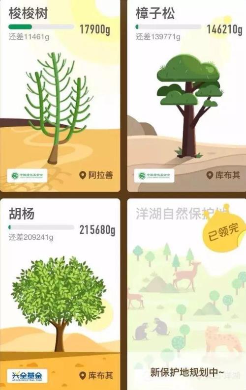 蚂蚁森林能量成熟时间