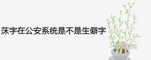 莯在新华字典的哪一页
