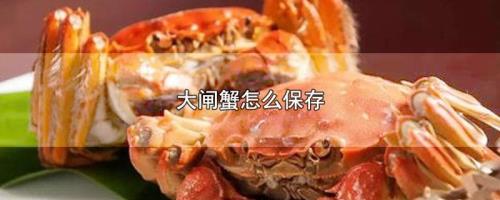 大闸蟹充氧能活多久