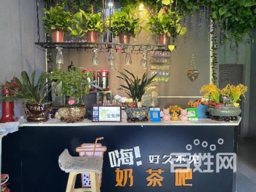学校休闲吧介绍
