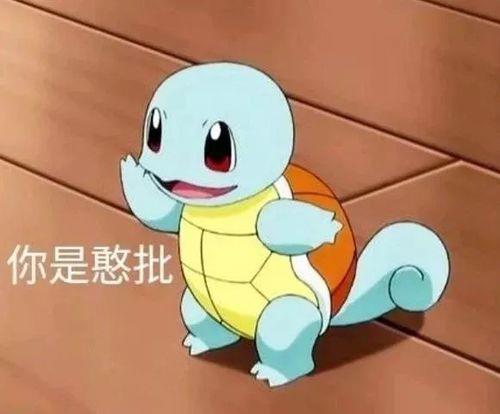 杰尼龟怎么叫的