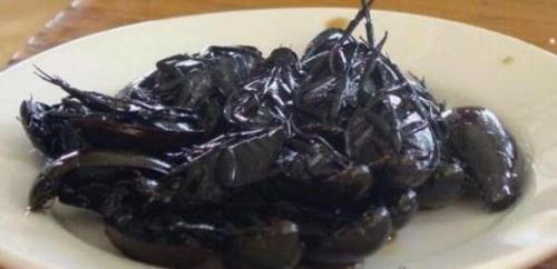 龙虱的最佳吃法