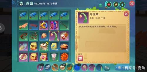 闪耀的龙涎草多久刷新