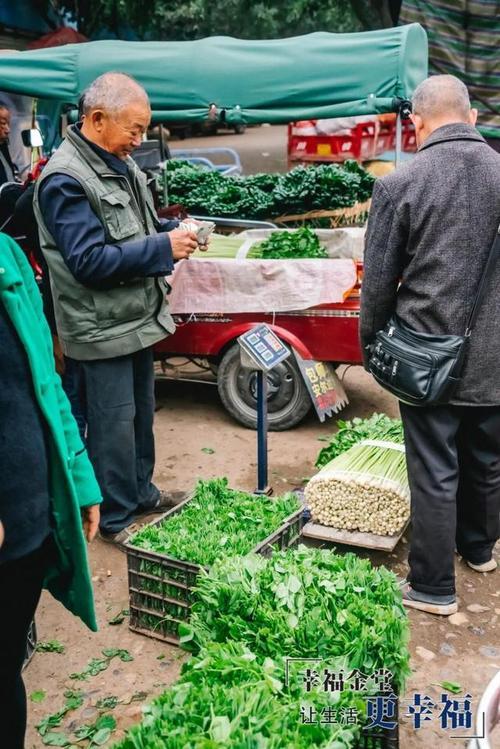 红金堂蔬菜批发营业时间