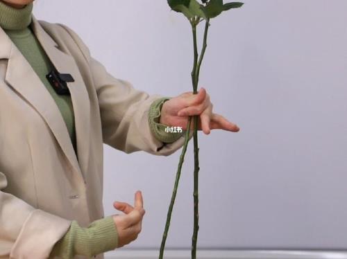 螺旋花束松散的秘诀