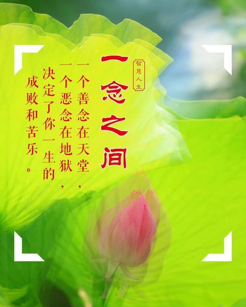你有所需我有所求的意思