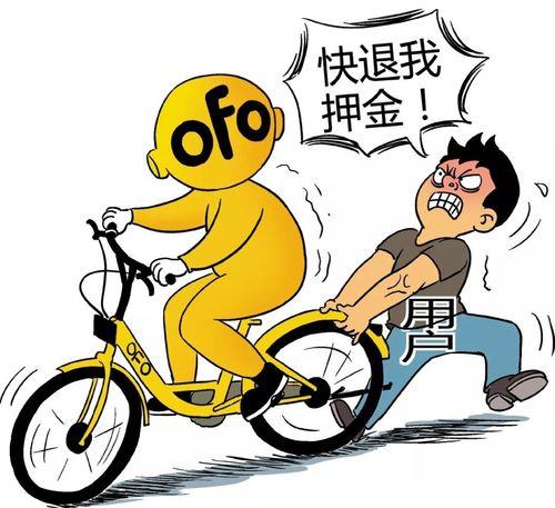 缴纳保证金后小黄车就回来了吗