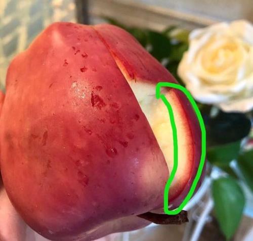 苹果加热方法如下
