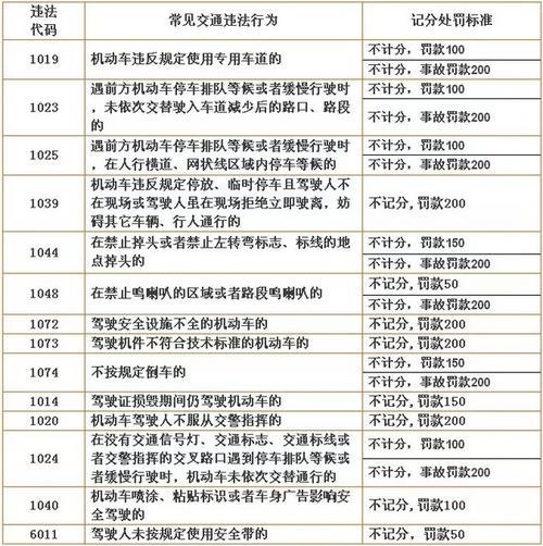 处罚代码怎么查询