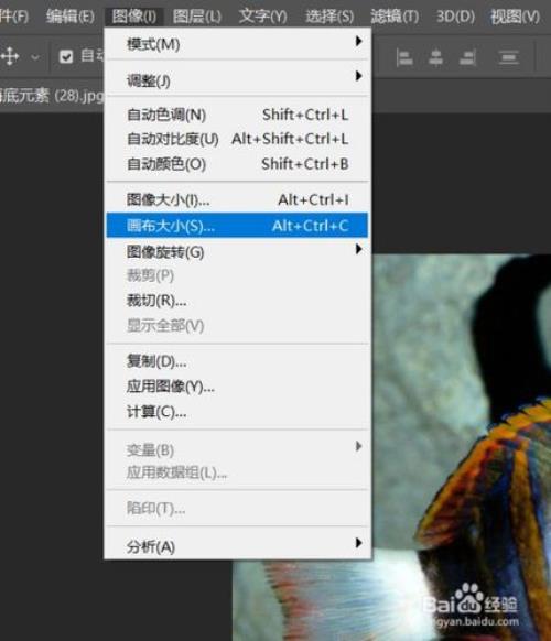 ps画布大小和图像大小调一样
