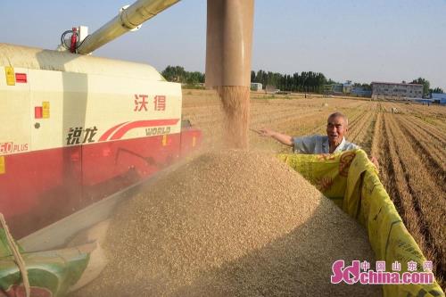山东省2023年小麦补贴还有吗