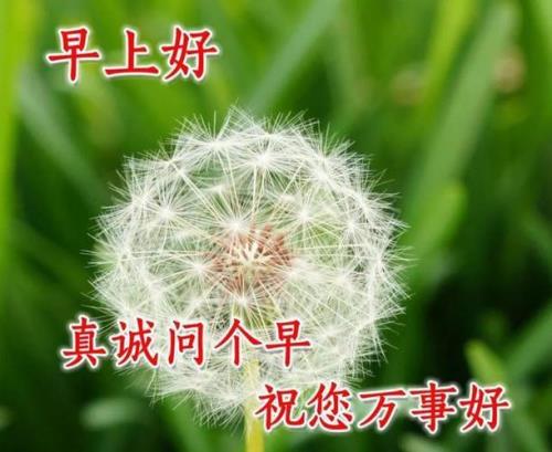 已婚异性每天发早安图片啥意思