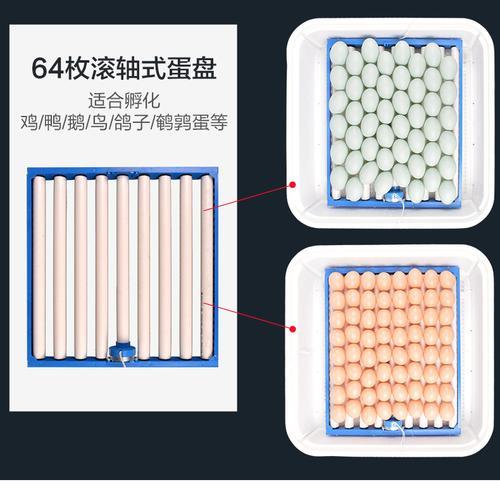 水床孵化几天开始翻蛋