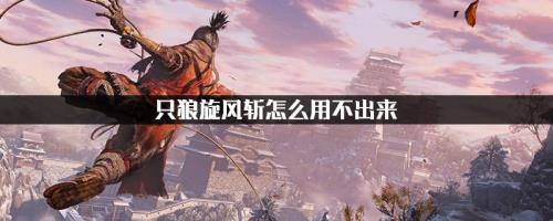 只狼金币和经验干嘛的