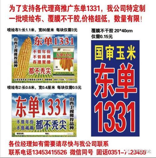 东单1331哪个包装是正品